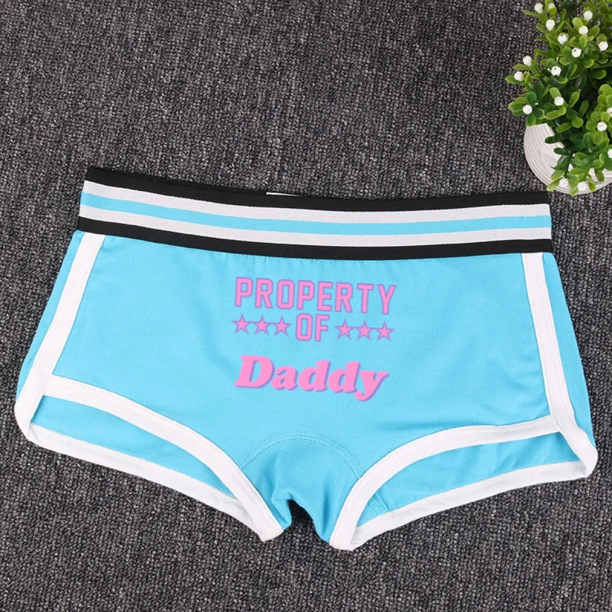 "PROPERTY OF DADDY" BoyShort - Cute Cotton Women's Underwear