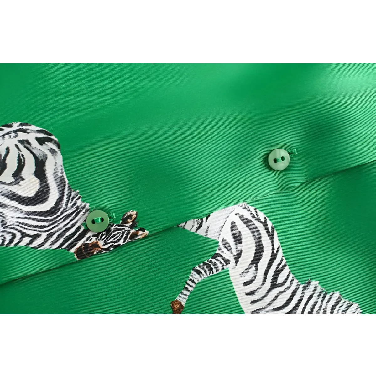 Women's Long Sleeved Blouse