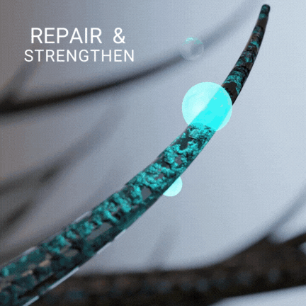 BRB Blonde Purple Conditioner