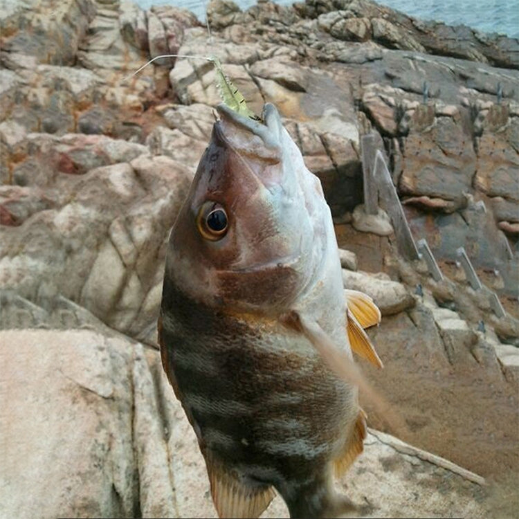 10 PCS 4cm Fishing Soft Bait Lures Popper Poper Baits(Fluorescent)