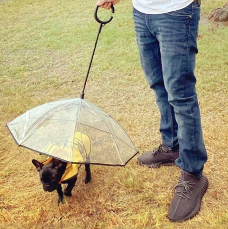 Pet Umbrella Transparent Adjustable Rainy Dog Walking Leash