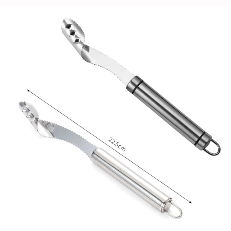 10 PCS Stainless Steel Pepper Seed Decator Fruit Kernel Knife Diplonema Handle