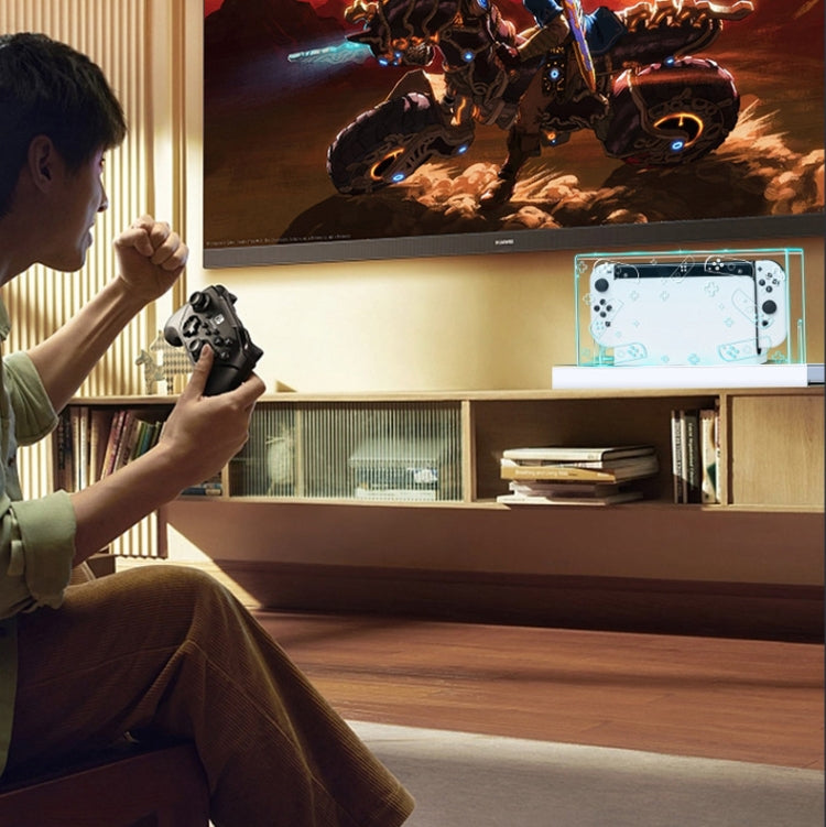 035 for Nintendo Switch/Oled Game Console Display Dustproof Cover, Spec: White Label