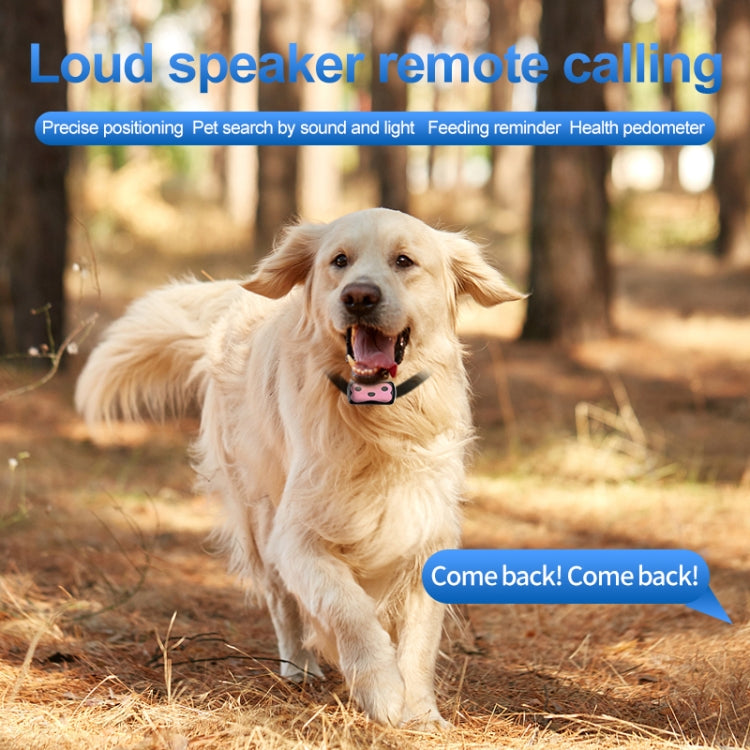 GPS Wireless Wifi Pet Location Chasing Cat Dog Collar Anti-loss Locator(Sky Blue)