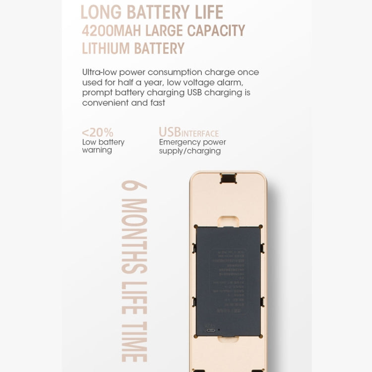 T100A  3D Face Recognition Fingerprint Code Card Digital Door Lock(Rose Gold)