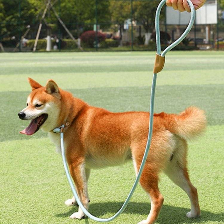 1.5m x 0.6cm Dog Traction Rope Mid Large Dog Universal Safety Buckle Chain Circle(Brown)