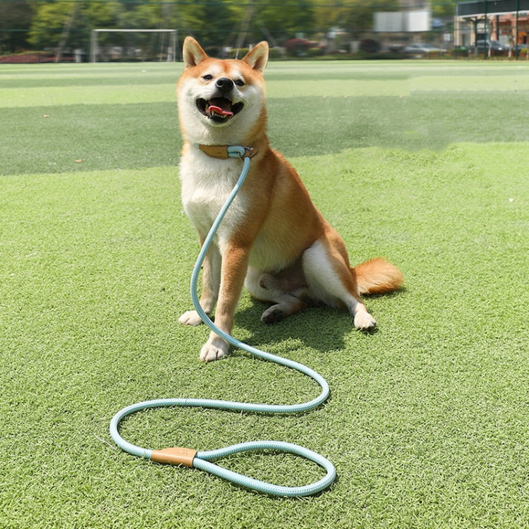 1.5m x 0.8cm Dog Traction Rope Mid Large Dog Universal Safety Buckle Chain Circle(Brown)