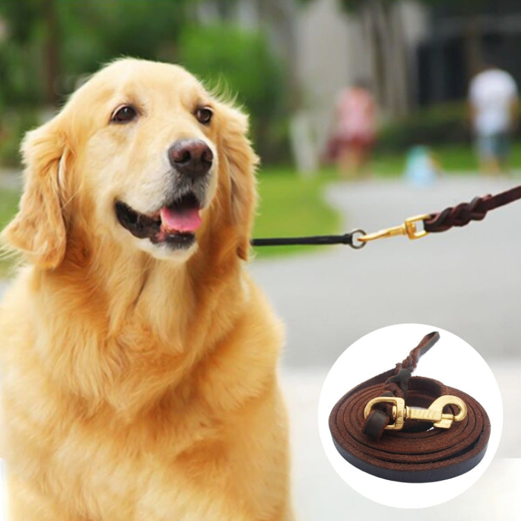 1.2 x 150cm Pet Outing Cowhide Towing Leash Dog Training Harness(Bronze Hook)
