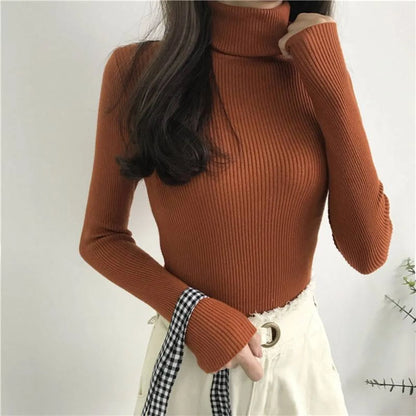 Thick Knitted Sweater
